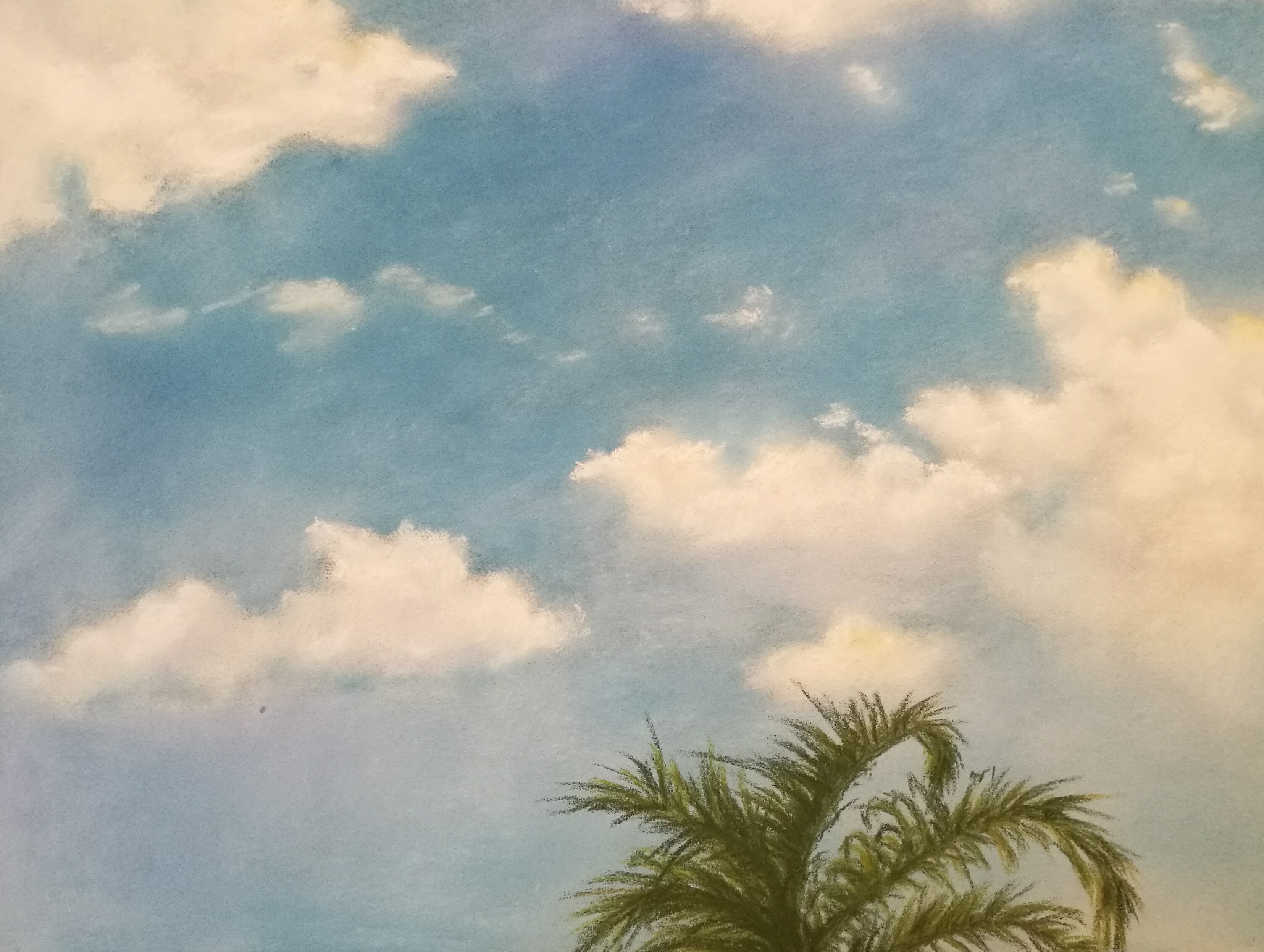 Ciel Cocotier